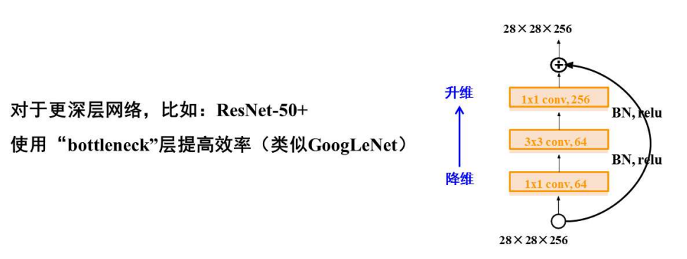 ResNet-Bottleneck